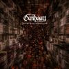 Download track Wisdom And Freedom