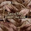 Download track Smooth Jazz