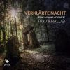 Download track 04. Piano Trio No. 2 In C, Op. 87 - I. Allegro Moderato