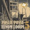 Download track Fenom Loop 95