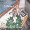 Download track Leise Rieselt Der Schnee