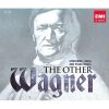 Download track 14. Wesendonck-Lieder - IV. Schmerzen