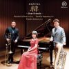 Download track 09 - No. 1 Elegie In E-Flat Minor (Arr. V. Venglovsky)