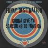 Download track Something To Funk On