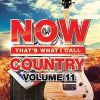Download track I Could Use A Love Song