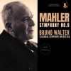 Download track Symphony No. 9 In D Major, IMG 15: III. Rondo-Burleske: Allegro Assai. Sehr Trotzig (2024 Remastered, Hollywood 1961)