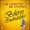 Download track Sinceramente