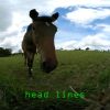 Download track What To Do