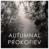 Download track Violin Concerto No. 1 In D Major, Op. 19: 3. Moderato