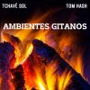 Download track Los Tambores
