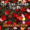 Download track Que Te Me Vas