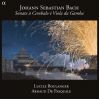 Download track Sonate En Sol Maj BWV 1027 - Allegro Ma Non Tanto