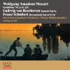 Download track Symphony No. 34 In C Major, K. 338 I. Allegro Vivace