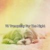 Download track Sleep Party