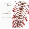 Download track 4. Fürchte Dich Nicht Ich Bin Bei Dir Motet For Double Chorus BWV 228 BC C4 SATB SATB