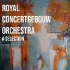 Download track Scherzino: Allegro