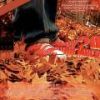 Download track ΤΩΡΑ ΘΑ ΠΟΝΑΣ