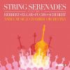 Download track Schubert: Schwanengesang, D. 957: No. 4, Ständchen (Arr. M. Naughtin For String Orchestra)