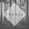 Download track The Order (Original Mix)