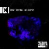 Download track Interruptor