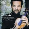 Download track Concerto In D Major, RV 217 - Allegro