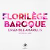 Download track Concerto Pour Hautbois Et Violon En Do Mineur, BWV 1060a I. Allegro