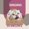 Download track Cat Relaxation Music, Pt. 8