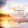 Download track Turandot, SC 91: Nessun Dorma!
