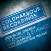 Download track Crashed & Burned (Markus Schulz Remix)
