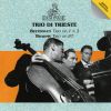 Download track Trio For Piano, Violin And Cello No. 2 In C Major, Op. 87 II. Andante Con Moto