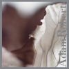 Download track Tangled Symmetries