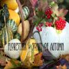 Download track Goldfish Have No Hiding Place
