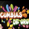 Download track Bolivar