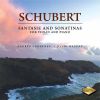 Download track Violin Sonata In A Minor, Op. 137 No. 2, D. 385: IV. Allegro