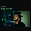 Download track Odd Look
