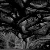 Download track Devolution