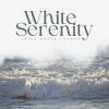 Download track Subtle Vibes