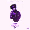 Download track Fuck The World