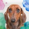 Download track Background For Restless Puppies