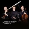 Download track Piano Trio After The Symphony In No. 2 In D Major, Op. 36: I. Adagio Molto - Allegro Con Brio