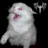 Download track Claymore