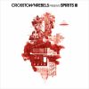 Download track She's Just A Wanderer