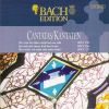 Download track Wo Gott Der Herr Nicht Bei Uns Hält BWV 178 - III Aria (Basso)