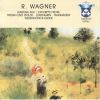Download track Wesendonck-Lieder - Schmerzen
