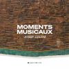 Download track Schubert Moments Musicaux, D. 780 IV. Moderato In C-Sharp Minor