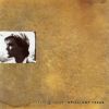 Download track Brilliant Trees