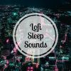 Download track Diary Of A Lofi Addict