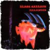 Download track Paranoid