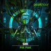 Download track Pik Pak (Original Mix)