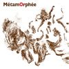 Download track Descente